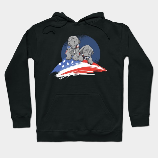 4th of July | Independence Day Hoodie by LR_Collections